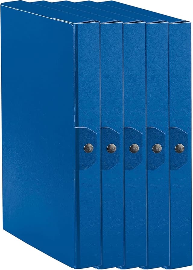 Detalle de Esselte C24 EUROBOX Cartella Progetti con bottone, 25 x 35 cm, dorso 4 cm, blu (confezione da 5)