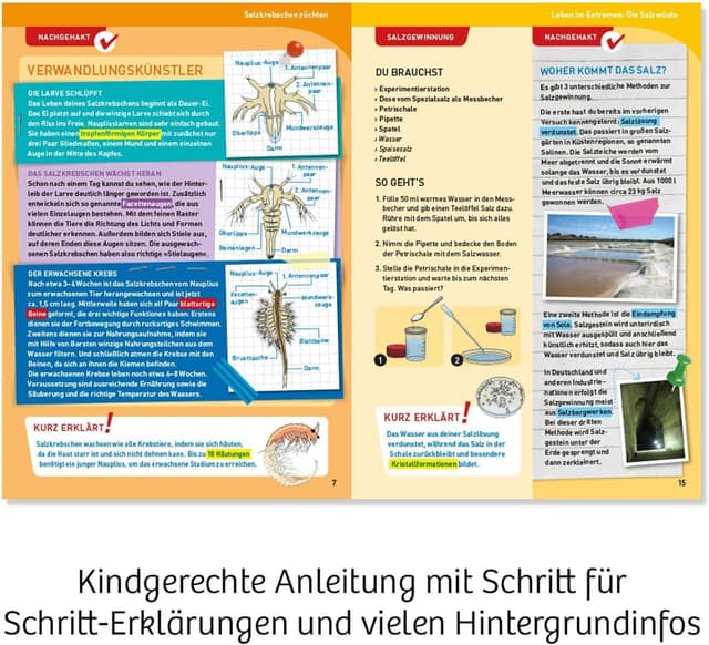 Detalle 2 de Kosmos 633264 Salzkrebse Überlebenskünstler