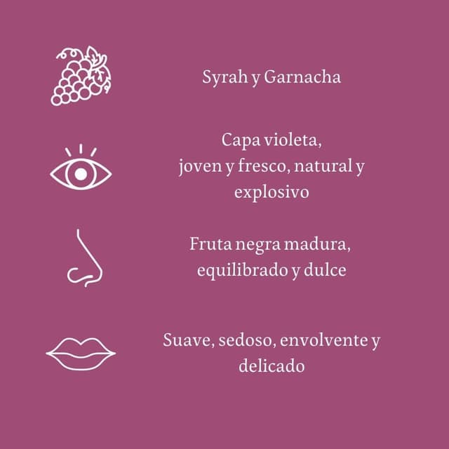 Detalle 2 de Viñas del Vero Violeta 🍷 Syrah-Garnacha, D.O. Somontano, 3x750ml