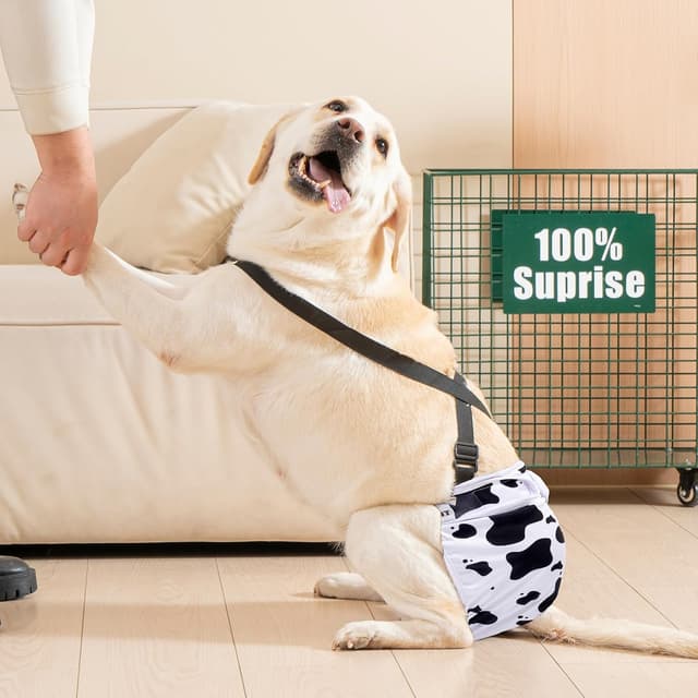 Thumbnail 6 de Avont 3er-Pack wiederverwendbare Hundewindeln mit verstellbarem Bund (Grün/Weiß/Violett)