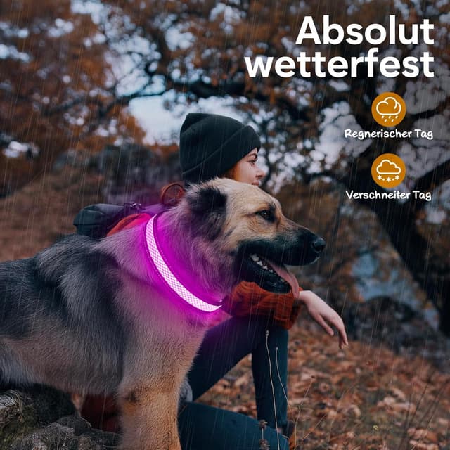 Thumbnail 6 de Ezierfy LED-Leuchthalsband für Hunde, USB-aufladbar und wasserfest