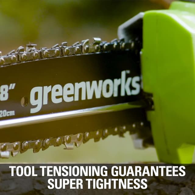 Detalle de Greenworks G24PSHK2 cordless 2-in-1 pole saw and pole hedge trimmer (tool only) with 20cm bar