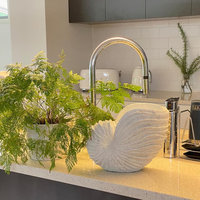 Detalle 2 de Huey House Réplique Nautilus 26,4 x 15,2 x 20,3 cm