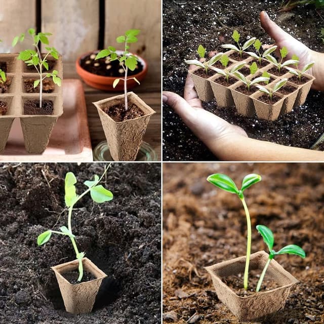 Detalle de KINGLAKE 20 Pack Biodegradable Seed Trays & Plant Pots (240 Cells) with Labels, Widger and Dibber