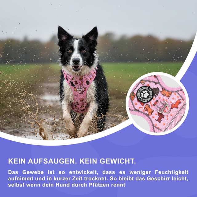 Thumbnail 6 de Harnais anti-traction Reichstadt Pets pour chien – réglable avec poignée et bandes réfléchissantes (modèle 25RSP083 Puppy S)