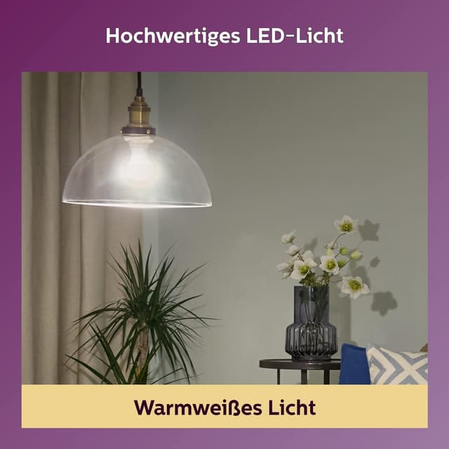 Detalle 2 de Ampoule LED Philips 60W E27 Blanc chaud non dimmable