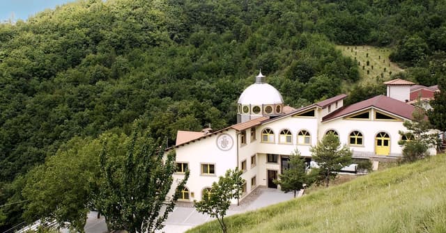 Detalle de Dr Giorgini Integratore Alimentare al Lampone (Gemmoderivato) Concentrato Liquido Analcolico – 100 ml