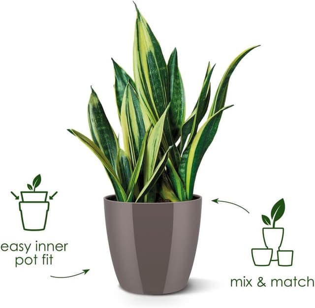 Thumbnail 2 de Elho Brussels Diamond Round 25 - Macetero Interior Rojo 🌺