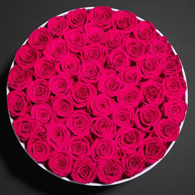 Detalle de 50 Piece Roses in a Velvet Box Preserved Flowers (Radiant Pink) — Gift-Ready Keepsake Bouquet