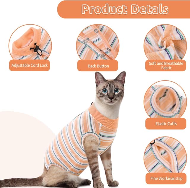 Thumbnail 1 de CITÉTOILE Katzenbody XS 🐾