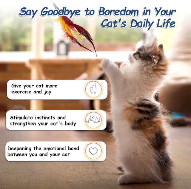 Thumbnail 5 de VINATO Canna da Pesca per Gatti 64 cm 🎣