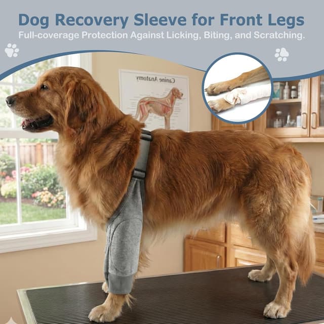 Thumbnail 6 de Hisprout Pet Dog Front Leg Knee Pads & Recovery Sleeve (L) – Grey with Footprints, 2 Pack