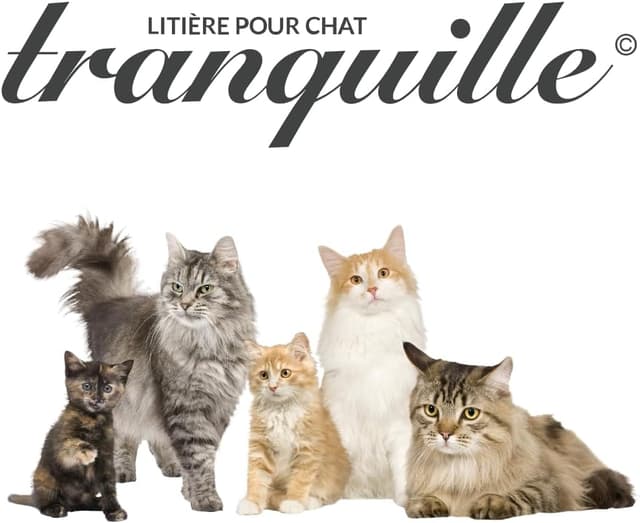 Thumbnail 2 de Tranquille Litière agglomérante 4 L 🐱