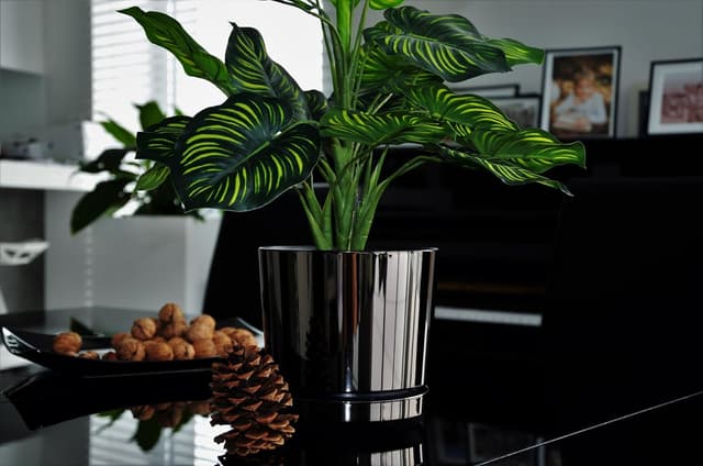 Thumbnail 4 de KERD Set Blumentöpfe 16 cm Glänzend Schwarz