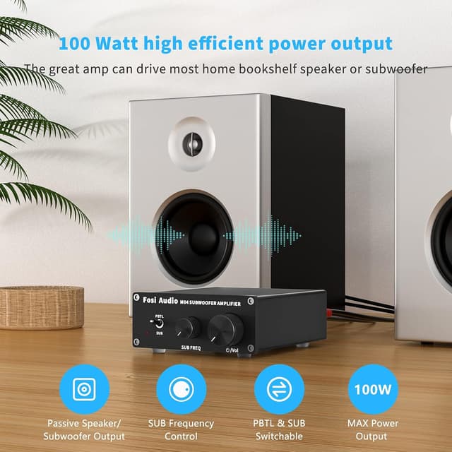 Detalle de Fosi Audio M04 : amplificateur mono de caisson de basses (Classe D, 100 W MAX)