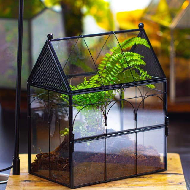 Thumbnail 1 de NCYP Glass House Terrarium 19×12.5×23 cm