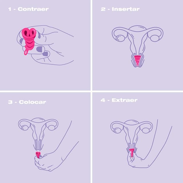 Thumbnail 4 de INTIMINA Lily Cup One copa menstrual plegable 1 unidad