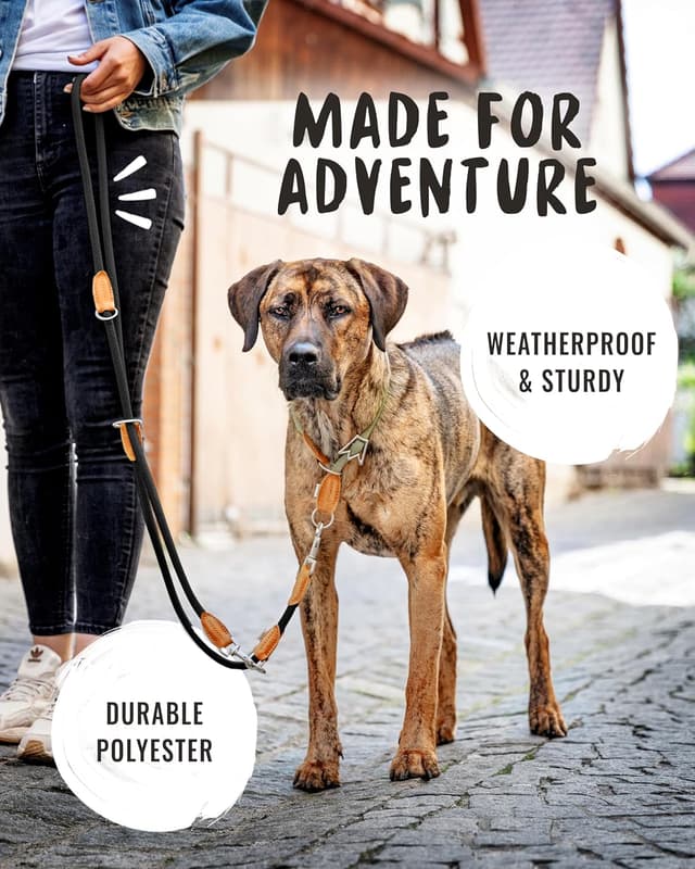 Detalle 2 de Rudelkönig Emma 2,30 m laisse 3 points