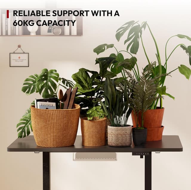 Thumbnail 6 de SANODESK 120 x 60cm Electric Standing Desk