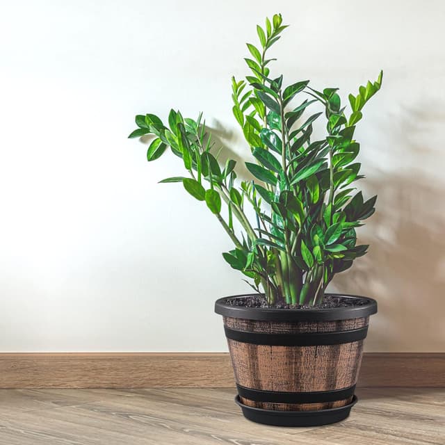 Detalle de Quarut 3-Pack 10-Inch Whiskey Barrel Plant Pots (Brown) with Drainage Holes & Saucers