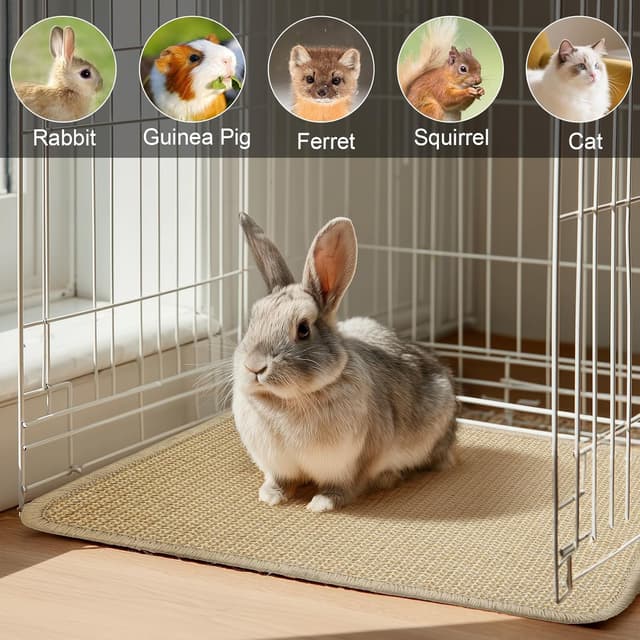 Detalle de GHWMYD Kratzmatte fĂŒr Kaninchen und Meerschweinchen, 2 Stk. đ°