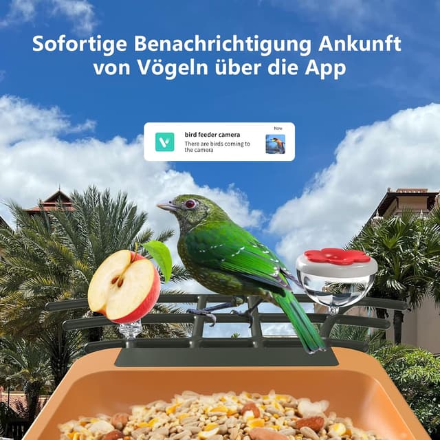 Detalle de Vogelfutterhaus mit Kamera 2K HD, Nachtsicht & KI-Erkennung (Solar, AJCloud App)