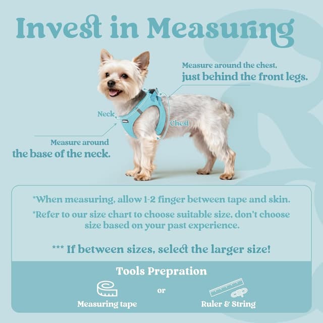 Detalle 2 de rabbitgoo Dog Harness Small Dog Step-in Soft Mesh Puppy Harness (Mint Blue, S)