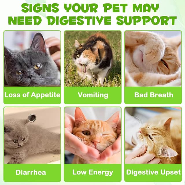 Detalle de Probiotika für Katzen 3-in-1, 6 Mrd. KBE 🐱