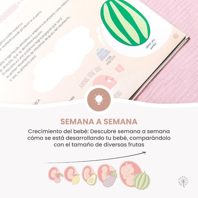 Thumbnail 4 de MIMUSELINA Diario Embarazo Semana a Semana