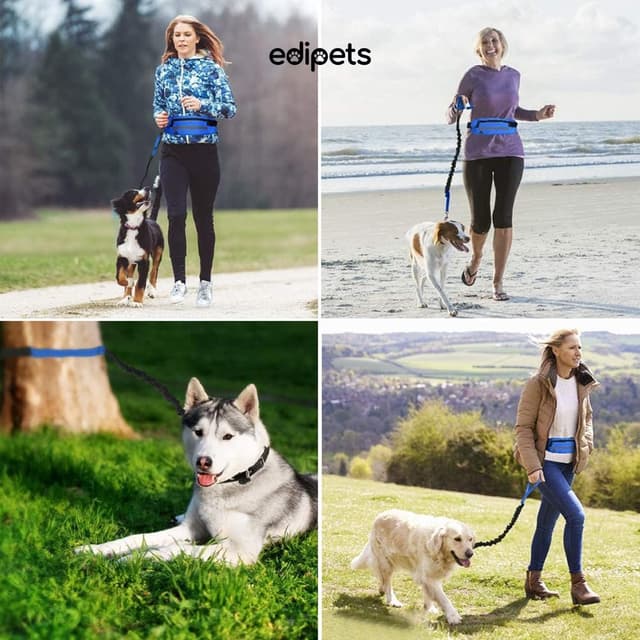 Detalle 2 de Edipets Joggingleine für Hunde freihändig (Laufen & Wandern) mit Gurtband, reflektierend, 160–220 cm – Blau