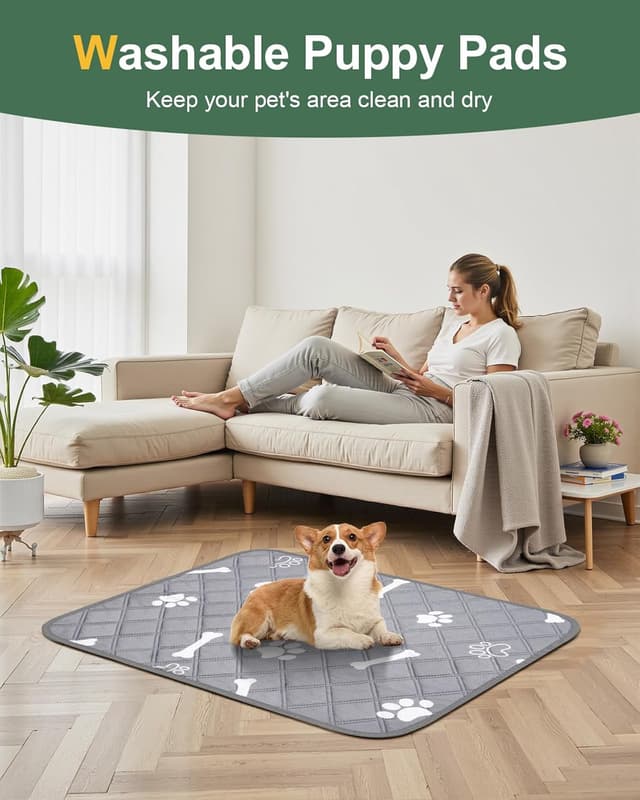 Thumbnail 6 de Gimars almohadillas entrenamiento perros 120x90