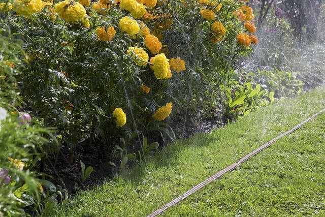 Detalle 2 de Tubo irrigatore Gardena 15 m getto nebulizzato