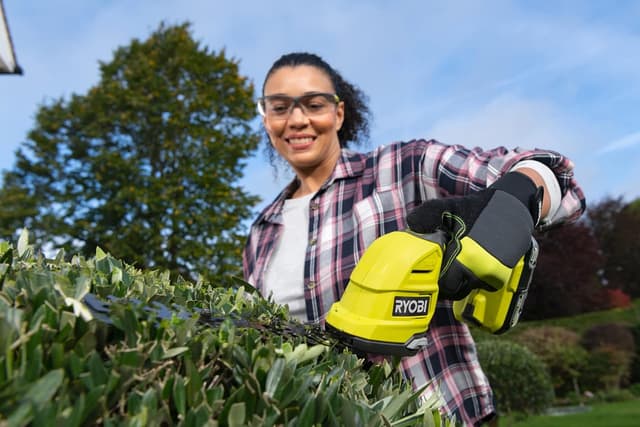 Detalle 2 de Ryobi RY18GSA-0 18V Cordless trimmer blades