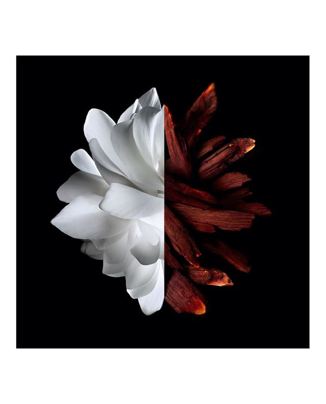 Thumbnail 4 de Givenchy Eau de Parfum L'Interdit Rouge 50 ml 💄