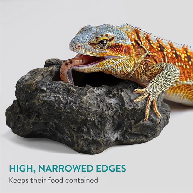 Detalle de Navaris Reptile Feeder in polyresin for tortoises, bearded dragons, snakes and amphibians