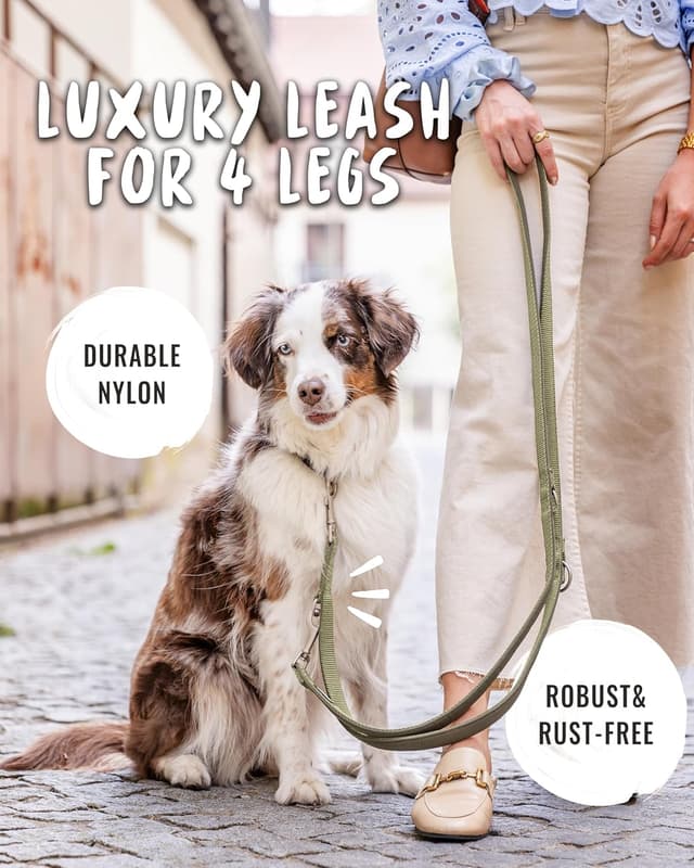 Detalle 2 de Rudelkönig Laisse Bella 2,30 m 🐕