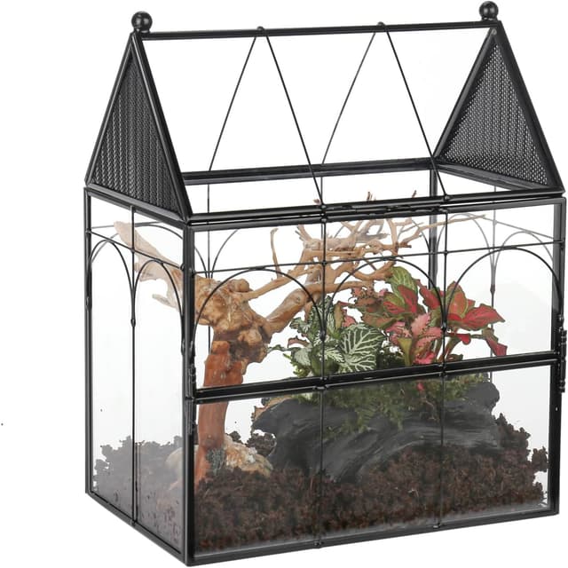 Imagen de NCYP Glass House Terrarium 19×12.5×23 cm en OfertitasTOP