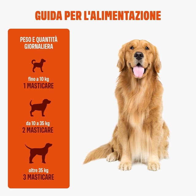 Detalle de ivvi Skin & Coat – Integratore per cani con olio di salmone, vitamine e zinco (60 chicche di salmone)