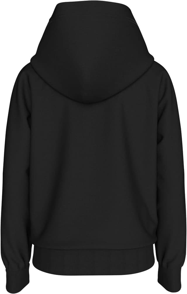 Detalle de Calvin Klein Inst. Logo Reg. Terry Hoodie à capuche en molleton de coton