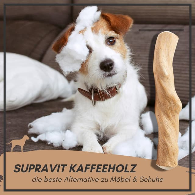 Thumbnail 6 de Supravit natürlicher Kauknochen aus Kaffeeholz für Hunde (Kaffeebaum-Holz) – M