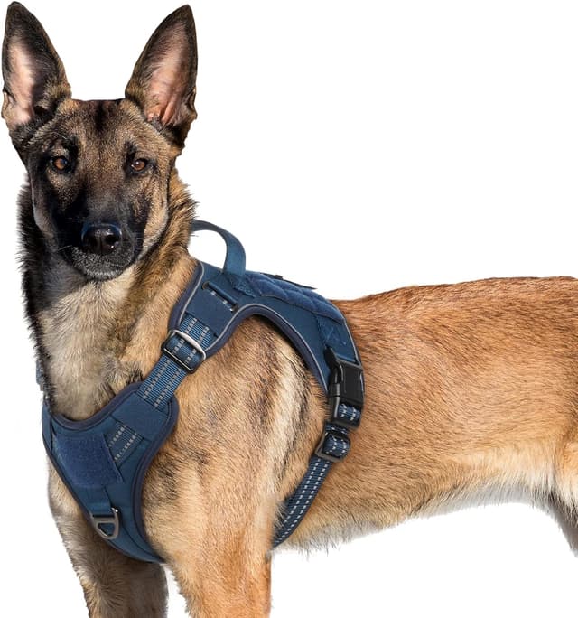 Detalle de rabbitgoo Harnais anti-traction tactique réfléchissant pour chien (XL) avec poignée et anneaux