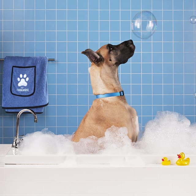 Thumbnail 6 de Nobleza Toalla para Perros 106x66 cm