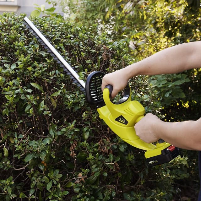 Thumbnail 2 de DEWINNER Cortasetos inalámbrico 20V con batería y doble asa