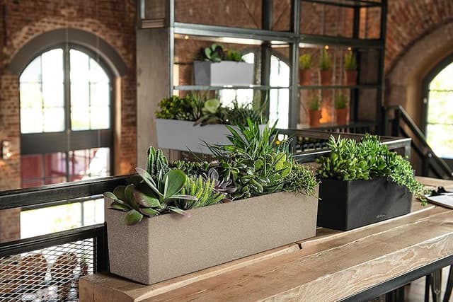 Thumbnail 4 de Lechuza BALCONERA Stone 80 maceta riego automático 79 cm