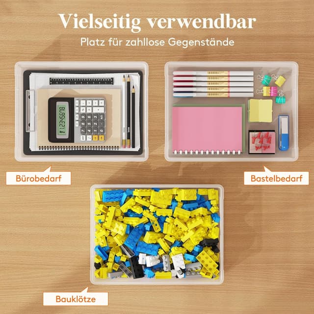 Detalle 2 de Lifewit 5L Aufbewahrungsbox A4 Organizer