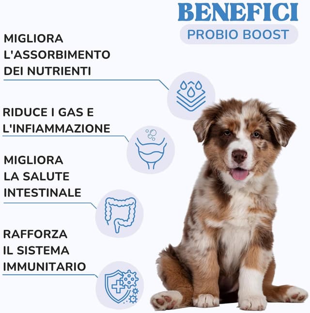 Detalle 2 de Lamina Care Probiotici per cani con 1 miliardo UFC: supporto digestivo per gas e infiammazione