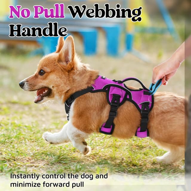 Detalle de rabbitgoo Escape-Proof Dog Harness (Small, with Handle) – Adjustable, Reflective Vest-Style, Purple (S)