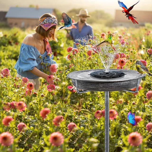 Thumbnail 3 de KHayRovies Bird Bath Outdoor Metal Stand