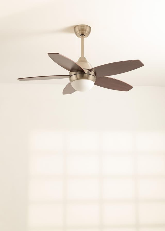 Thumbnail 2 de WINDFLOWOOD Ventilador de techo con luz