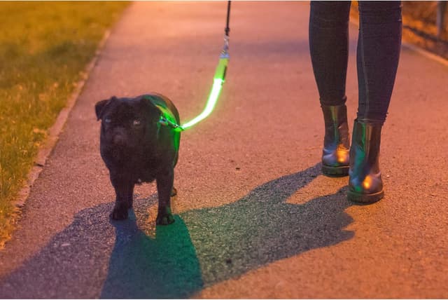 Detalle de Ancol USB Hi-Vis Flashing Lead Attachment (Yellow) for safer night walks